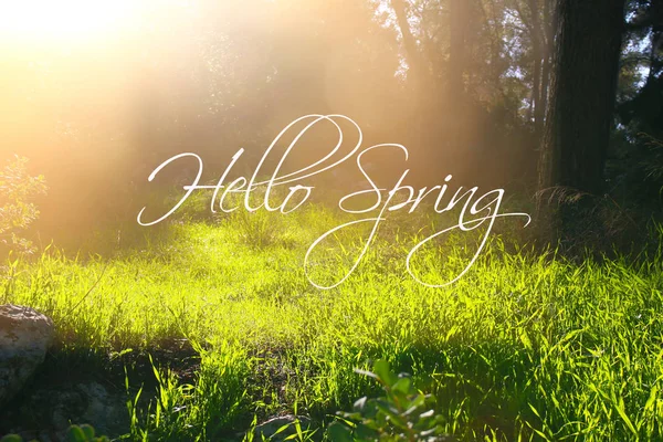 Low angle view image of fresh grass. freedom and renewal concept with spring text. — Stock Photo, Image