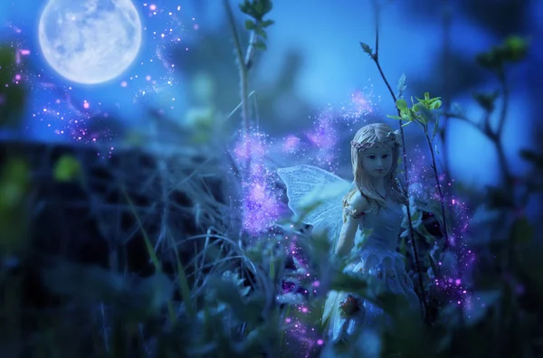Зображення чарівної маленької феї в нічному лісі . — стокове фото