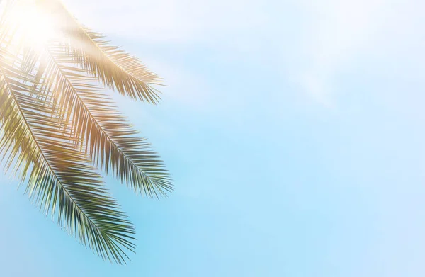 Palme contro il cielo blu e raggi di sole. viaggio, estate, vacanza e concetto di spiaggia tropicale . — Foto Stock