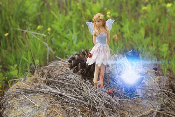 Immagine di piccola fata magica nella foresta . — Foto Stock