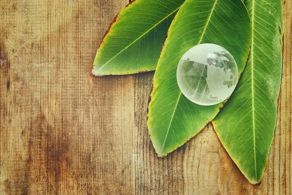 Grönt glas klot och gröna blad över träbord. — Stockfoto