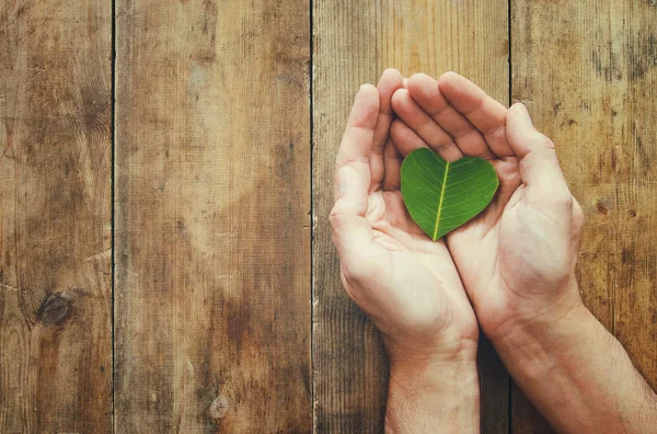 Mann Hand hält herzförmige grüne Blatt, Earth Day-Konzept. Schenkung und Gesundheit. — Stockfoto
