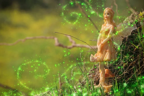 Obrázek Kouzelná malá víla v lese. — Stock fotografie