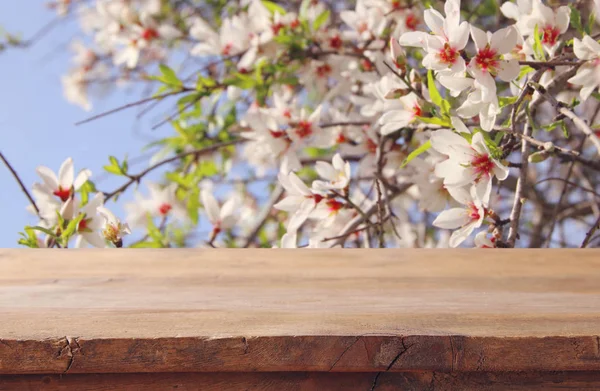 Ξύλινα ρουστίκ τραπέζι μπροστά από το δέντρο κερασιάς άνθη την άνοιξη. το προϊόν εμφανίσει και picnic έννοια. — Φωτογραφία Αρχείου