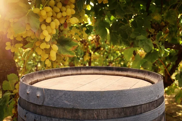 Image de vieux tonneau de vin de chêne devant le paysage de la cour à vin. Utile pour le montage d'affichage de produits . — Photo