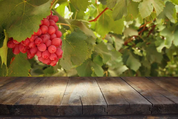 Obrázek dřevěný stůl před rozmazané vinice krajinu. Připravena k montáži zobrazení produktu. — Stock fotografie