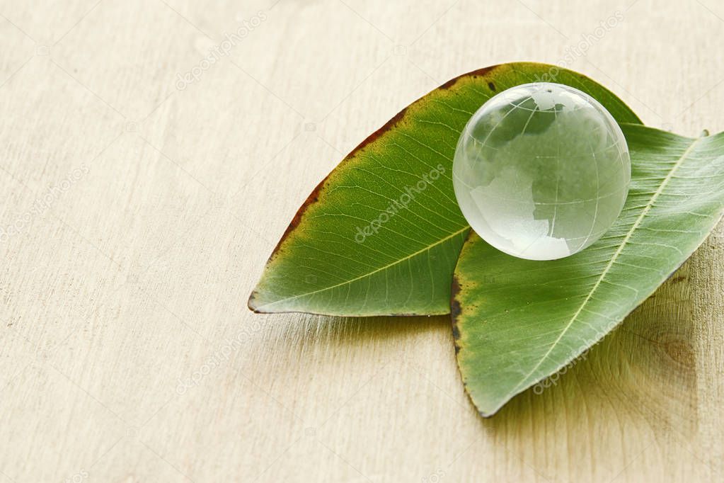 man hand holding small earth globe and Green Leaf, Earth day concept. giving and health concept.