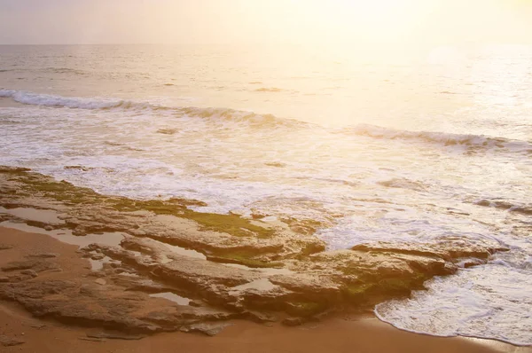 Background of beach and sea at sunset colors. — Stock Photo, Image