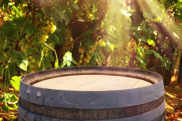 Imagen de barrica de vino de roble viejo frente al paisaje del viñedo. Útil para montaje en pantalla de producto . — Foto de Stock