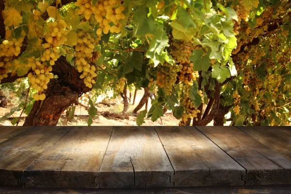 Image Wooden Table Front Blurred Vineyard Landscape Ready Product Display — Stock Photo, Image