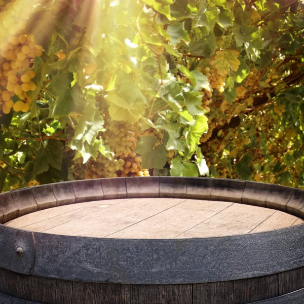 Imagem de barril de vinho de carvalho velho na frente da paisagem quintal do vinho. Útil para montagem de exibição de produto . — Fotografia de Stock