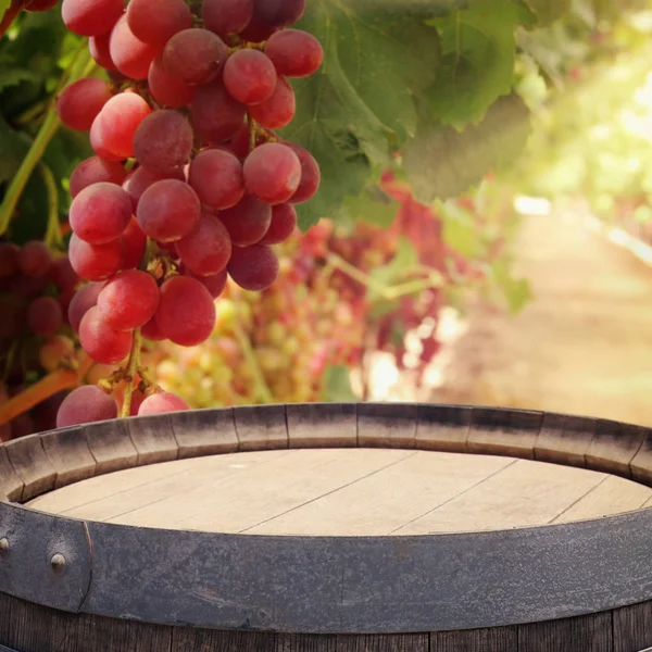 Imagen de barrica de vino de roble viejo frente al paisaje del viñedo. Útil para montaje en pantalla de producto . —  Fotos de Stock