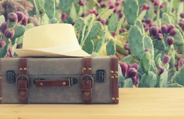 Equipaje vintage viajero y sombrero fedora sobre mesa de madera. holid —  Fotos de Stock