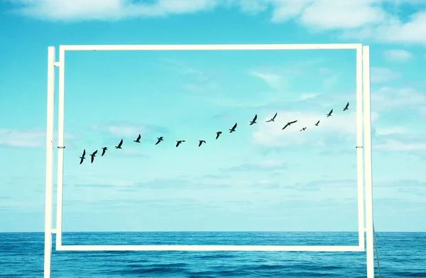 Surreal rätselhaftes Bild von fliegenden Vögeln und Rahmen. Strandlandschaft. — Stockfoto