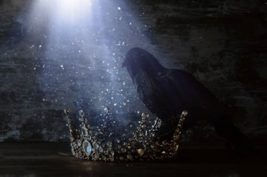 güzel Kraliçe/kral taç ve kara karga düşük anahtar görüntüsü. fantezi Ortaçağ dönemi. Seçici odak.