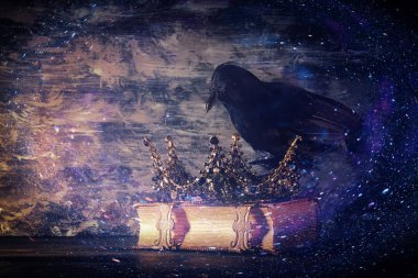 güzel Kraliçe/kral taç ve kara karga düşük anahtar görüntüsü. fantezi Ortaçağ dönemi. Seçici odak.