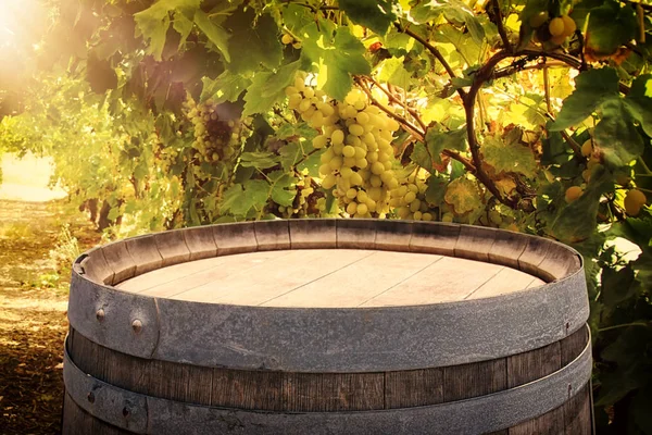 Изображение старой дубовой бочки перед пейзажем винного двора. Полезно для монтажа дисплея продукта . — стоковое фото