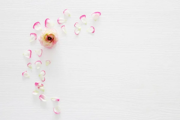 Imagem de delicado pastel rosa arranjo de flores bonitas sobre fundo de madeira branca. Deitado plano, vista superior . — Fotografia de Stock