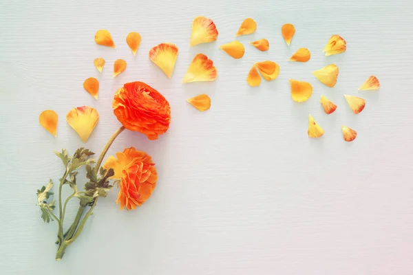 Image Délicates Fleurs Orange Pastel Jaune Avec Arrangement Pétales Sur — Photo