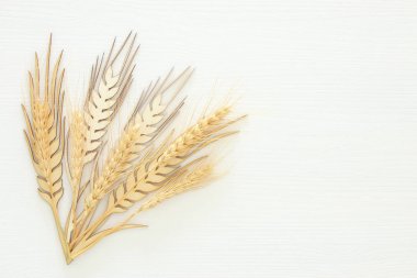 Üstten Görünüm ahşap buğday bitki dekorasyon beyaz arka plan üzerinde. Sembolleri Yahudi tatil - Shavuot.