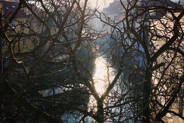 Achtergrond uitzicht van praag. vltava rivier fonkelend licht tussen bomen frame — Stockfoto