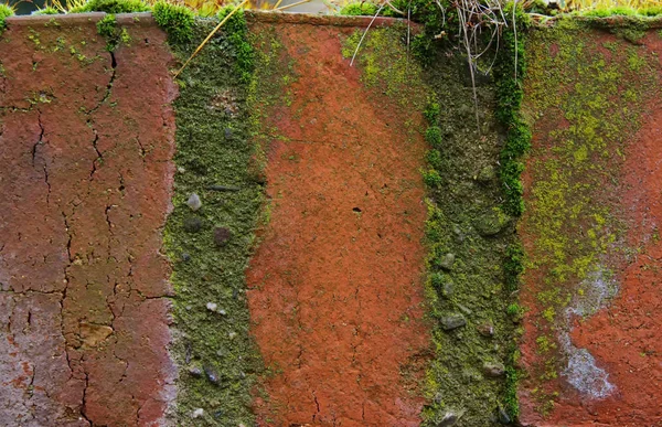 A mohával borított régi téglafal háttere — Stock Fotó