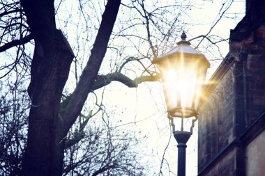 Klasik sokak lambası ve kışın alacakaranlıkta çıplak ağaçlar