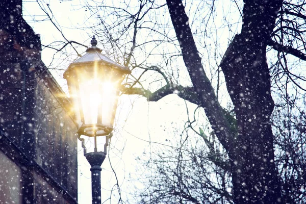 Vintage street lamp and bare trees at snowy winter twilight