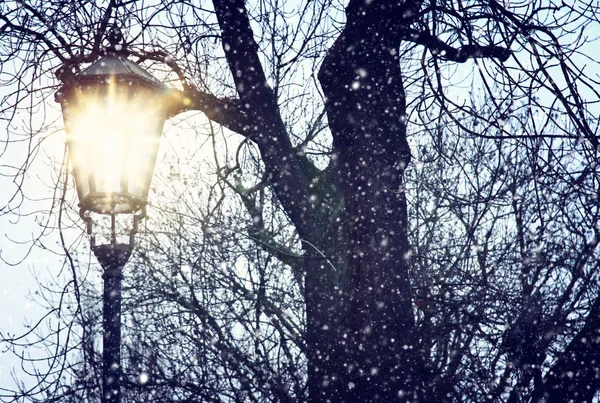 Vintage street lamp and bare trees at snowy winter twilight