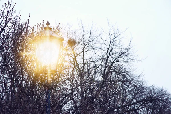 Vintage straatlamp en kale bomen bij winterschemering — Stockfoto