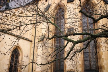 Eski bir ev ve kışın çıplak ağaçlar.