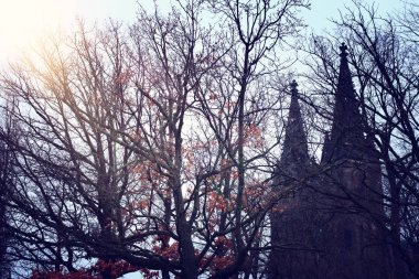Eski gotik katedral ve kışın çıplak ağaçlar.