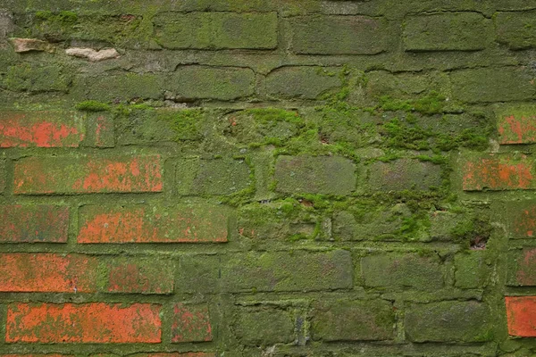 Achtergrond van oude bakstenen muur bedekt met mos — Stockfoto