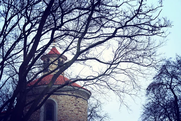 Ancient house and bare trees at winter — 스톡 사진