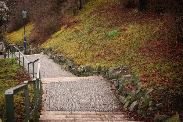 Фон старого парка и старинной лестницы в Европе — стоковое фото