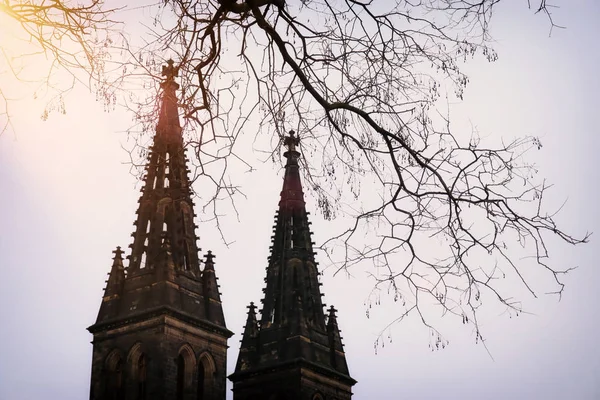 Ancient gothic cathedral and bare trees at winter — 스톡 사진