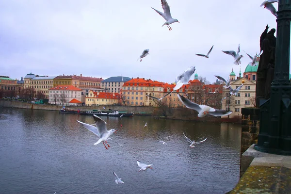 Praga e Vltava vista do rio a partir da ponte Charles — Fotografia de Stock