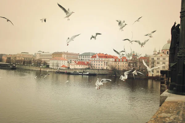 从查尔斯桥看布拉格和Vltava河。 老式风格过滤器 — 图库照片