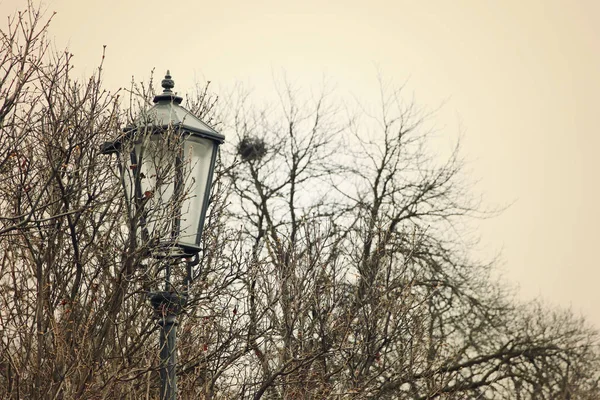 Antiguo farol y árboles desnudos en invierno. filtrado vintage —  Fotos de Stock