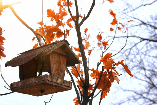 Houten vogelhuisje aan de boom in de winter — Stockfoto