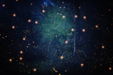 Firefly 'ın gece ormanında uçuşunun soyut ve büyülü görüntüsü. Peri masalı kavramı