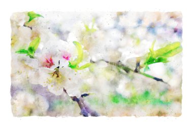 suluboya stil ve kiraz ağacı çiçek soyut resim