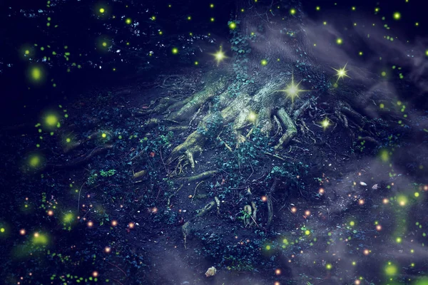 Imagen abstracta y mágica de Firefly volando en el bosque nocturno — Foto de Stock
