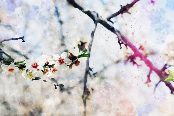 Suluboya stil ve kiraz ağacı çiçek soyut resim — Stok fotoğraf