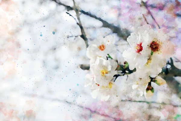 Stylu przypominającym akwarele i abstrakcyjny obraz kwiaty wiśniowe drzewo — Zdjęcie stockowe