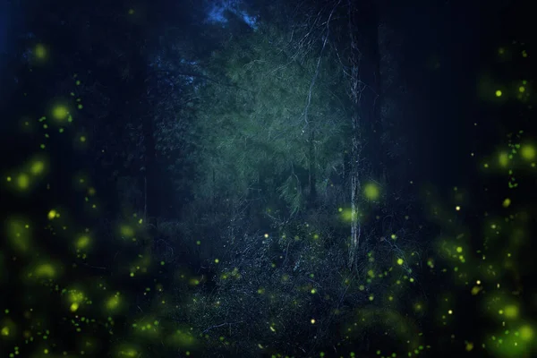 Imagem abstrata e mágica de Firefly voando na floresta noturna — Fotografia de Stock