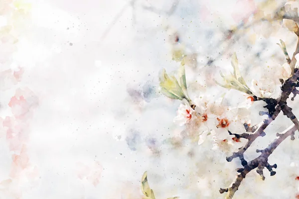 수채화 스타일과 벚꽃 꽃의 추상 이미지 — 스톡 사진