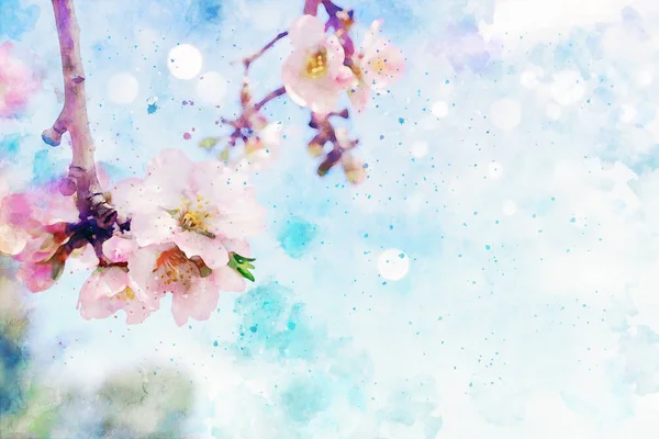 Gaya cat air dan gambar abstrak bunga pohon ceri — Stok Foto