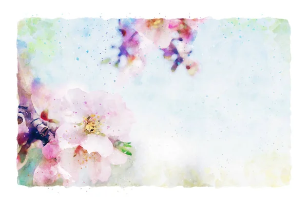 Watercolor style and abstract image of cherry tree flowers — Stock Photo, Image