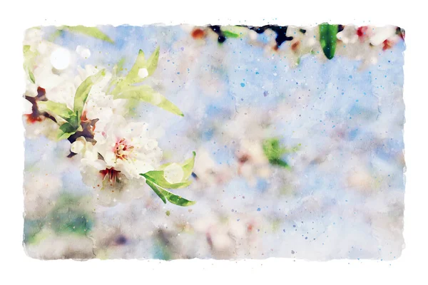 Aquarel stijl en abstracte afbeelding van kersenboom bloemen — Stockfoto